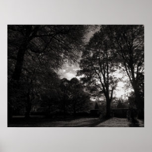 Autumn Landscape Bute Park Cardiff Poster
