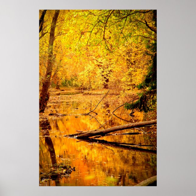 Autumn Landscape Forest Photo Nature Wall Poster (Front)
