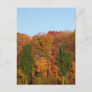 Autumn Landscape Postcard