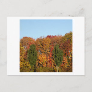 Autumn Landscape Postcard