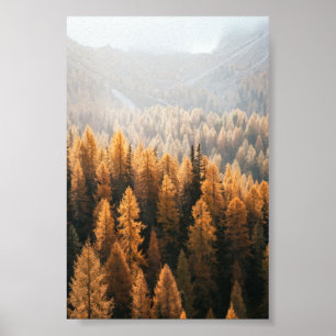 Autumn Landscape Poster