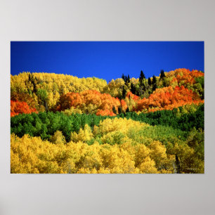 Autumn Landscape Poster