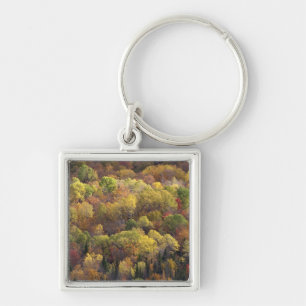 Autumn landscape, Vermont, USA 2 Key Ring