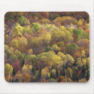 Autumn landscape, Vermont, USA 2 Mouse Pad