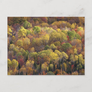 Autumn landscape, Vermont, USA 2 Postcard