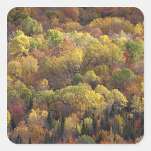 Autumn landscape, Vermont, USA 2 Square Sticker
