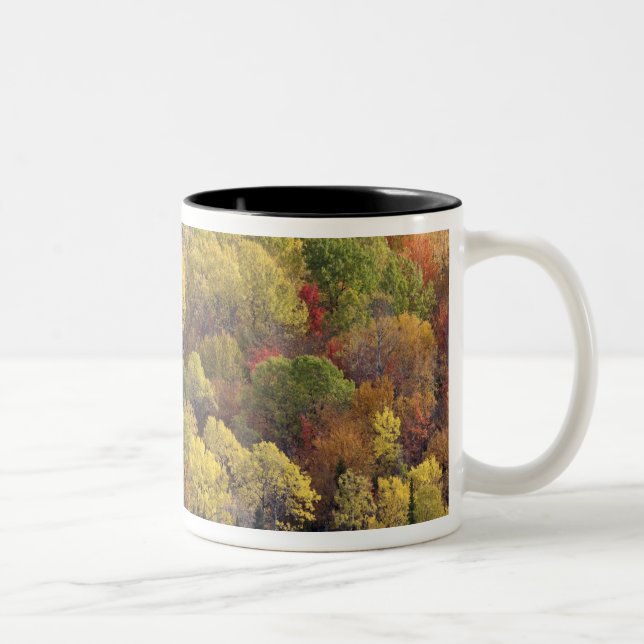 Autumn landscape, Vermont, USA 2 Two-Tone Coffee Mug (Right)