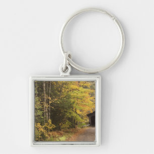 Autumn landscape, Vermont, USA 4 Key Ring