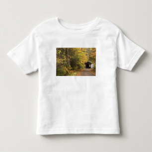 Autumn landscape, Vermont, USA 4 Toddler T-Shirt