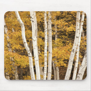 Autumn landscape, Vermont, USA Mouse Pad