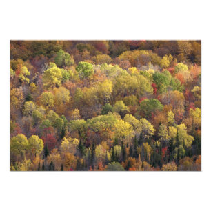 Autumn landscape, Vermont, USA Photo Print