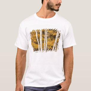 Autumn landscape, Vermont, USA T-Shirt