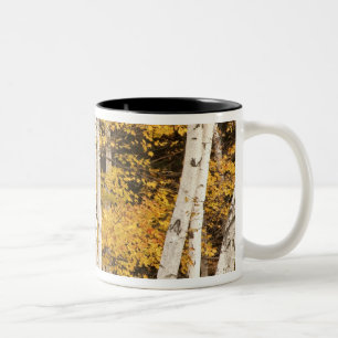 Autumn landscape, Vermont, USA Two-Tone Coffee Mug