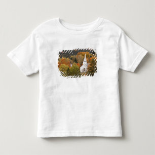 Autumn landscape with church, Vermont, USA Toddler T-Shirt
