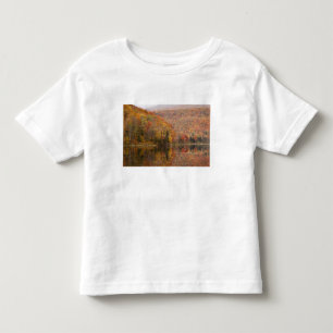 Autumn landscape with lake, Vermont, USA 2 Toddler T-Shirt