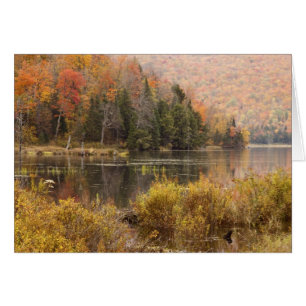 Autumn landscape with lake, Vermont, USA 3