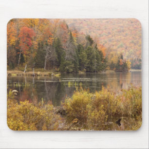 Autumn landscape with lake, Vermont, USA 3 Mouse Pad