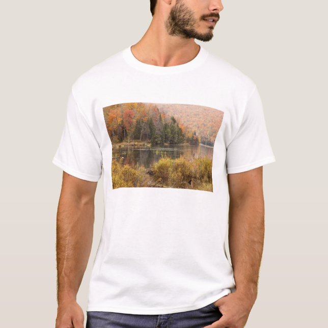 Autumn landscape with lake, Vermont, USA 3 T-Shirt (Front)