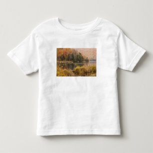 Autumn landscape with lake, Vermont, USA 3 Toddler T-Shirt