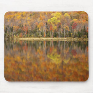 Autumn landscape with lake, Vermont, USA Mouse Pad