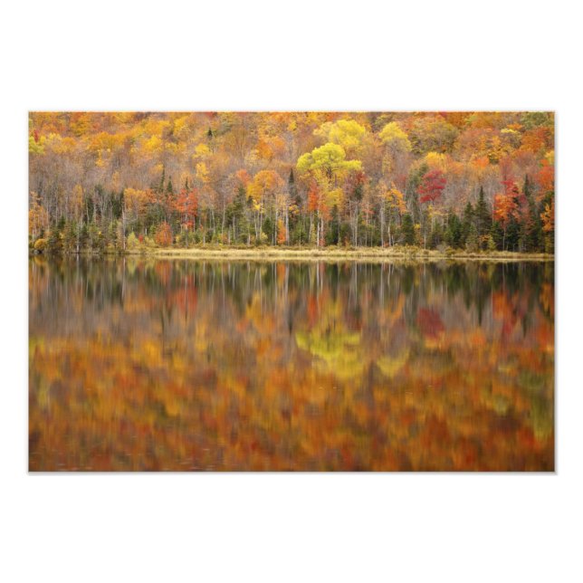 Autumn landscape with lake, Vermont, USA Photo Print (Front)
