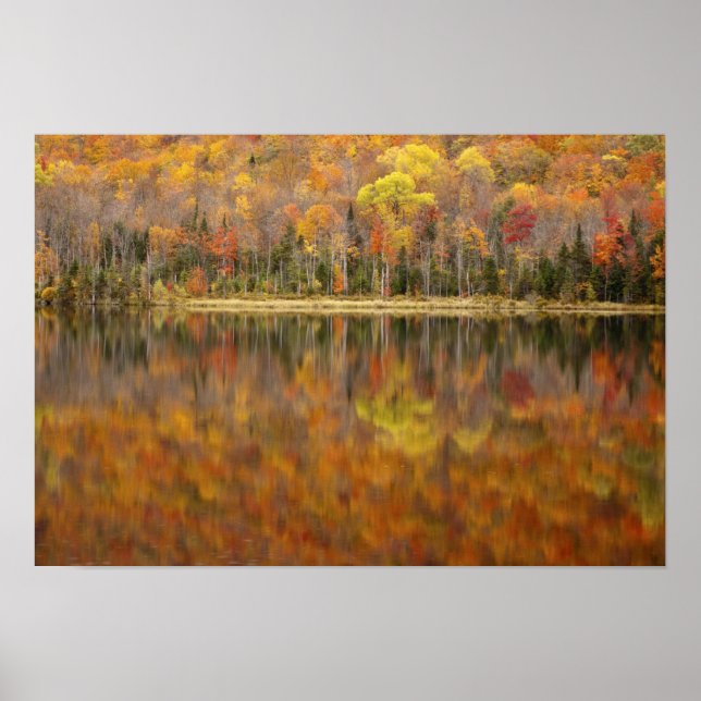 Autumn landscape with lake, Vermont, USA Poster (Front)