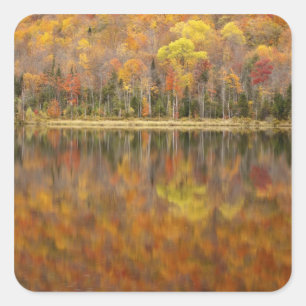 Autumn landscape with lake, Vermont, USA Square Sticker