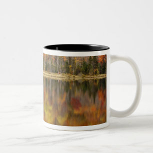 Autumn landscape with lake, Vermont, USA Two-Tone Coffee Mug
