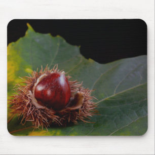 Autumn Leaf and Nut Mouse Pad