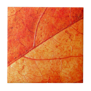 Autumn Leaf Ceramic Tile