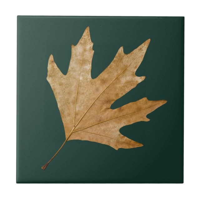 Autumn leaf ceramic tile (Front)