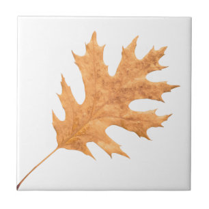 Autumn leaf ceramic tile