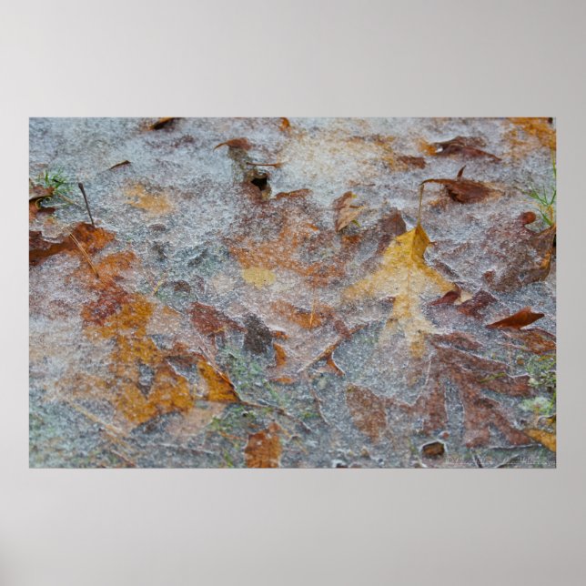 Autumn Leaf Collage in the Ice Poster (Front)