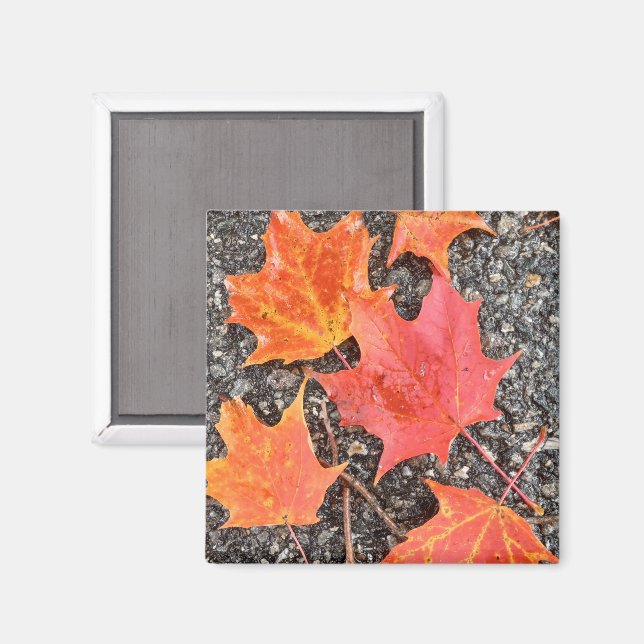 Autumn Leaf Collage Magnet (Front/Back)