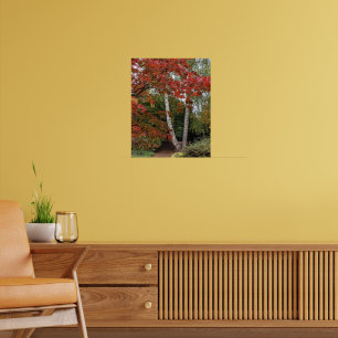 Autumn Leaf Colour Photographic Poster