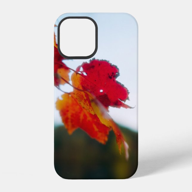 Autumn Leaf iPhone Case (Back)