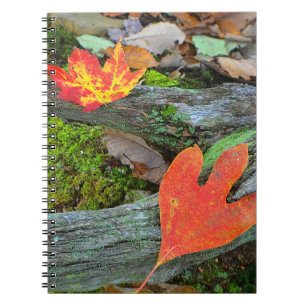 Autumn Leaf Notebook