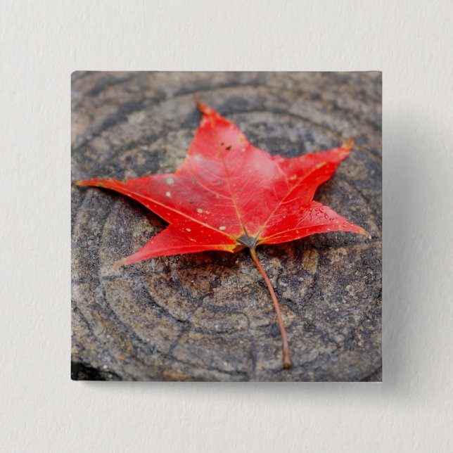 Autumn Leaf on Log Square Button (Front)