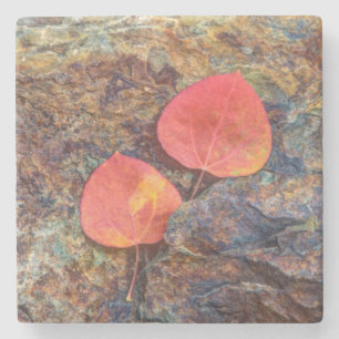 Autumn leaf on rock, California Stone Coaster