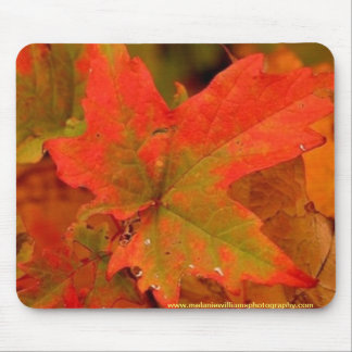 Autumn leaf pad mouse pad