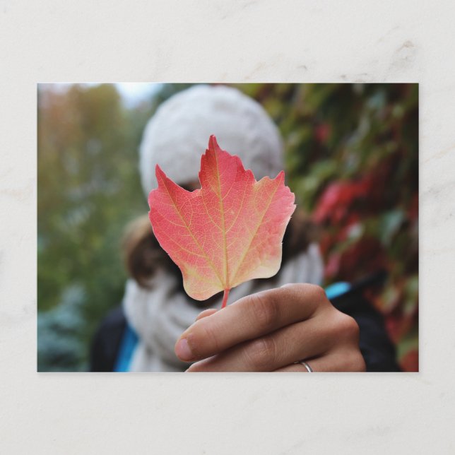 Autumn Leaf postcard (Front)