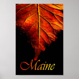 Autumn Leaf Poster Fall Leaf Poster
