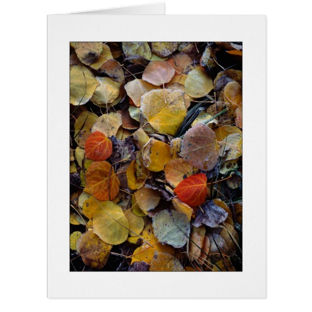 "Autumn Leaf Puzzle" (Front)
