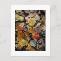 "Autumn Leaf Puzzle"