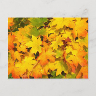 Autumn Leaf Tree Fall Nature Forest Destiny Season Postcard