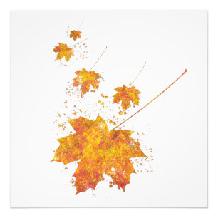 Autumn Leaf Wild Forest Nature World Earth V Photo Print