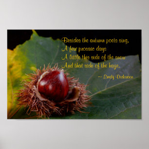 Autumn Leaf With Nut & Emily Dickinson Poem Poster