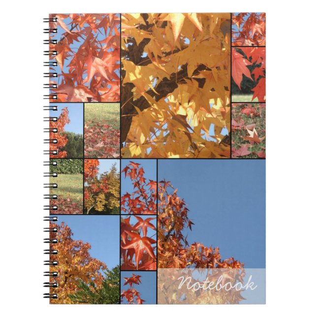 Autumn leafs Notebook (Front)