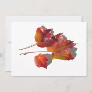 Autumn Leaves