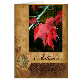 Autumn Leaves